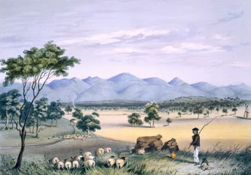 Lynedoch Valley katselee Barossan vuoristoa kohti, South Australia Illustratedista, julkaistu vuonna 1847 (käsinvärinen kaiverrus)
